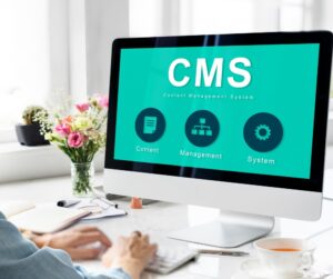 What Makes WordPress the Most Popular CMS in the World?